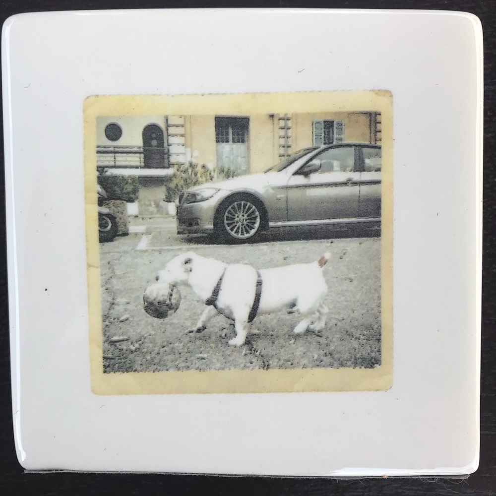 Rae Dunn Dog 🐶 Paperweight
